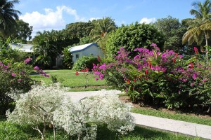 Location-Fleurs-des-Iles-Bungalow-Guadeloupe