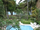 Piscine des bungalows Guadeloupe